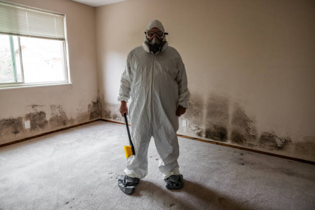 Best Commercial Mold Removal  in Nitro, WV